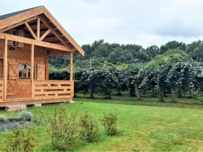 Gîte Saint-Geours-de-Maremne, 2 pièces, 2 personnes - FR-1-360-692